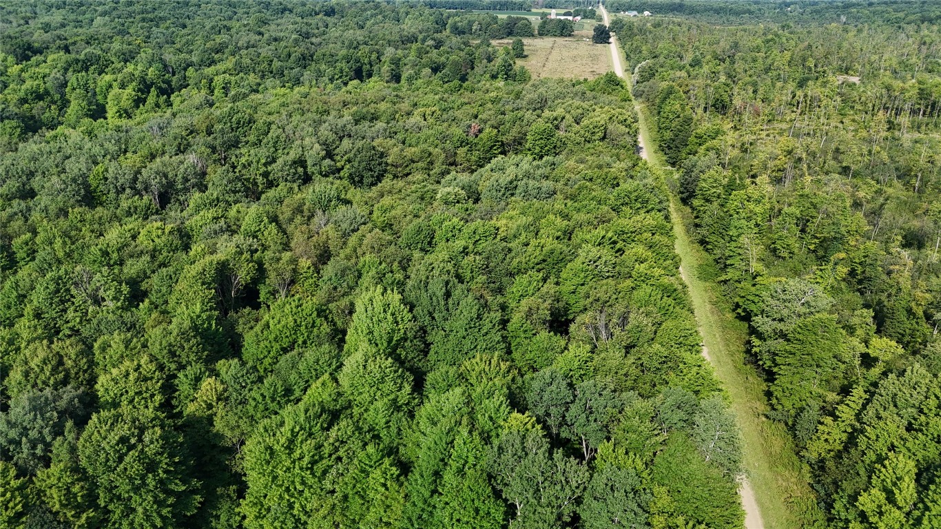 Lake & Laird Road, Atlantic, Pennsylvania image 26