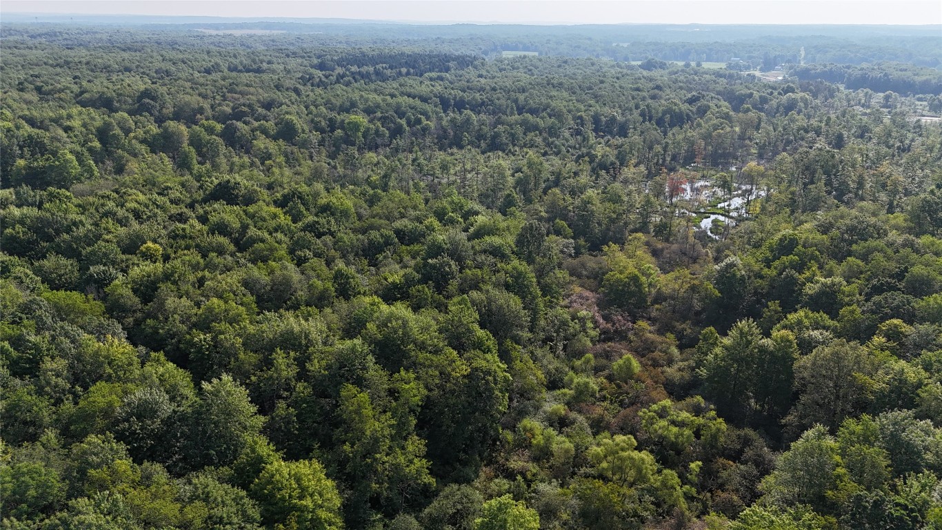 Lake & Laird Road, Atlantic, Pennsylvania image 36