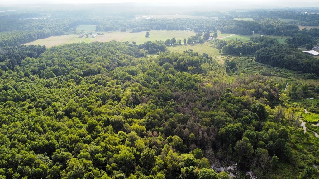 Lake & Laird Road, Atlantic, Pennsylvania image 9
