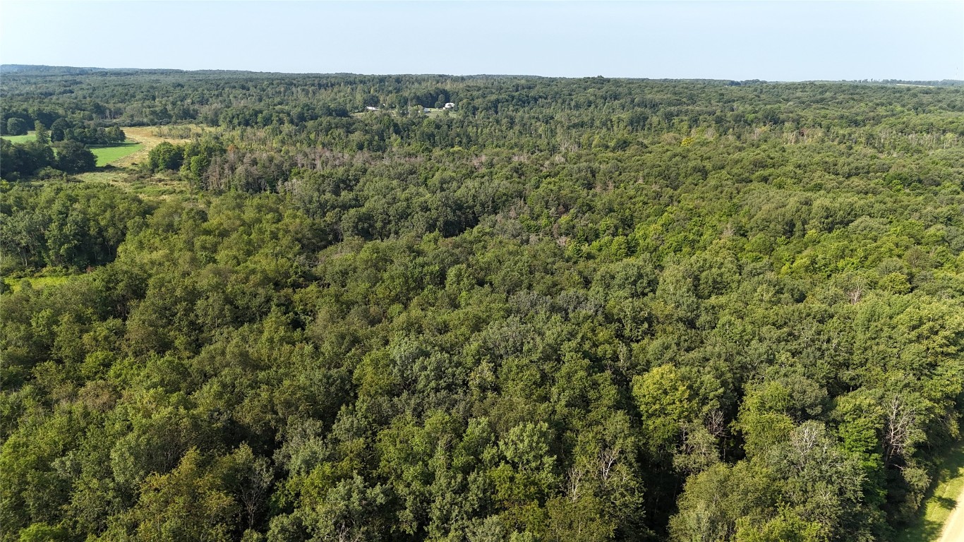 Lake & Laird Road, Atlantic, Pennsylvania image 14