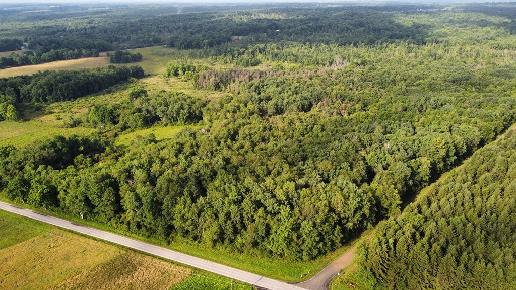 Lake & Laird Road, Atlantic, Pennsylvania image 2