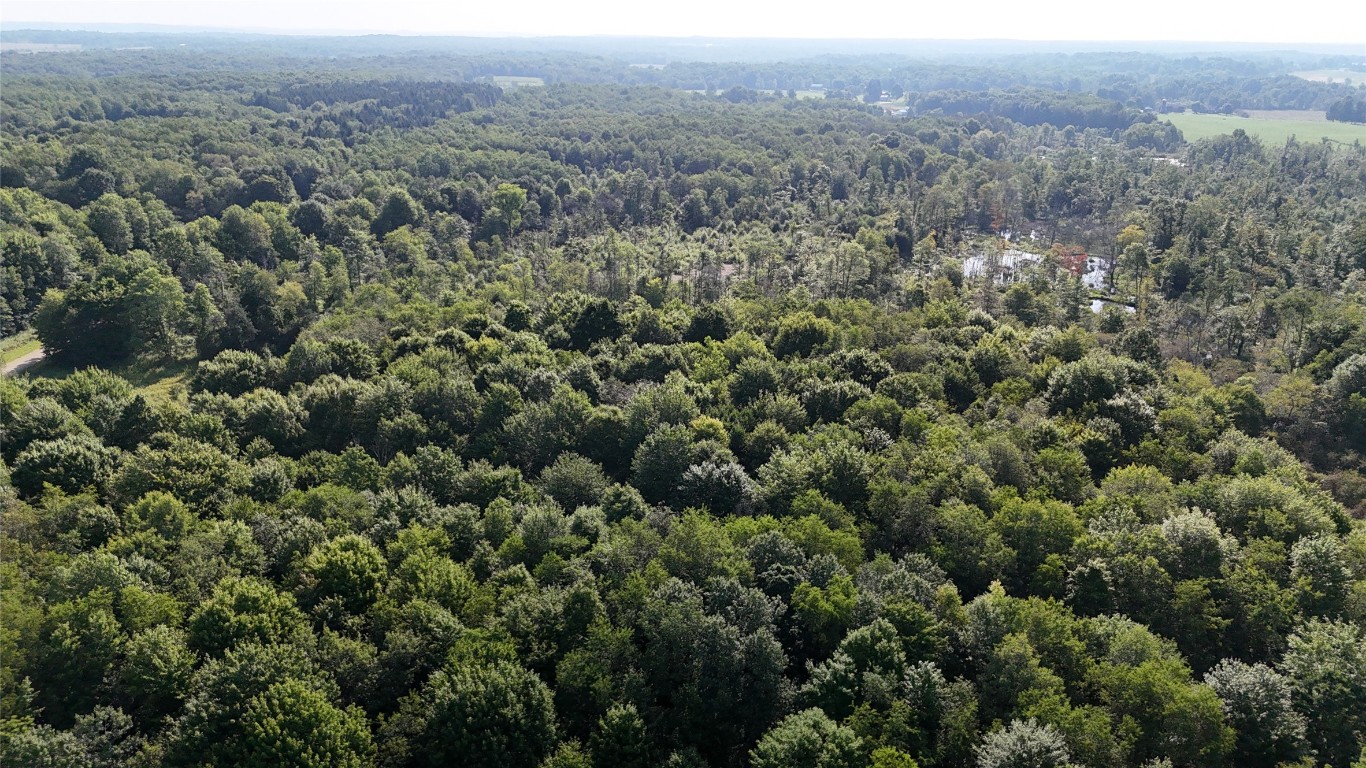 Lake & Laird Road, Atlantic, Pennsylvania image 34