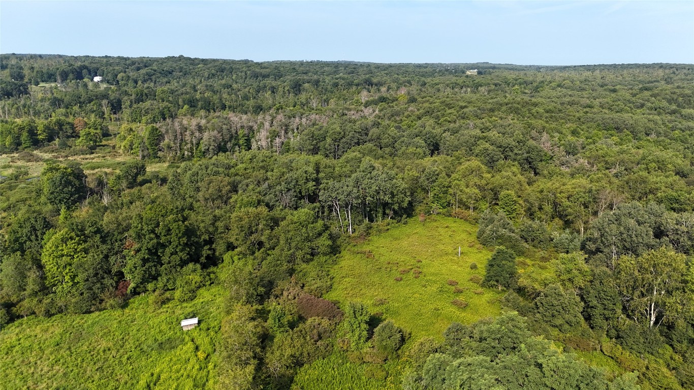 Lake & Laird Road, Atlantic, Pennsylvania image 17