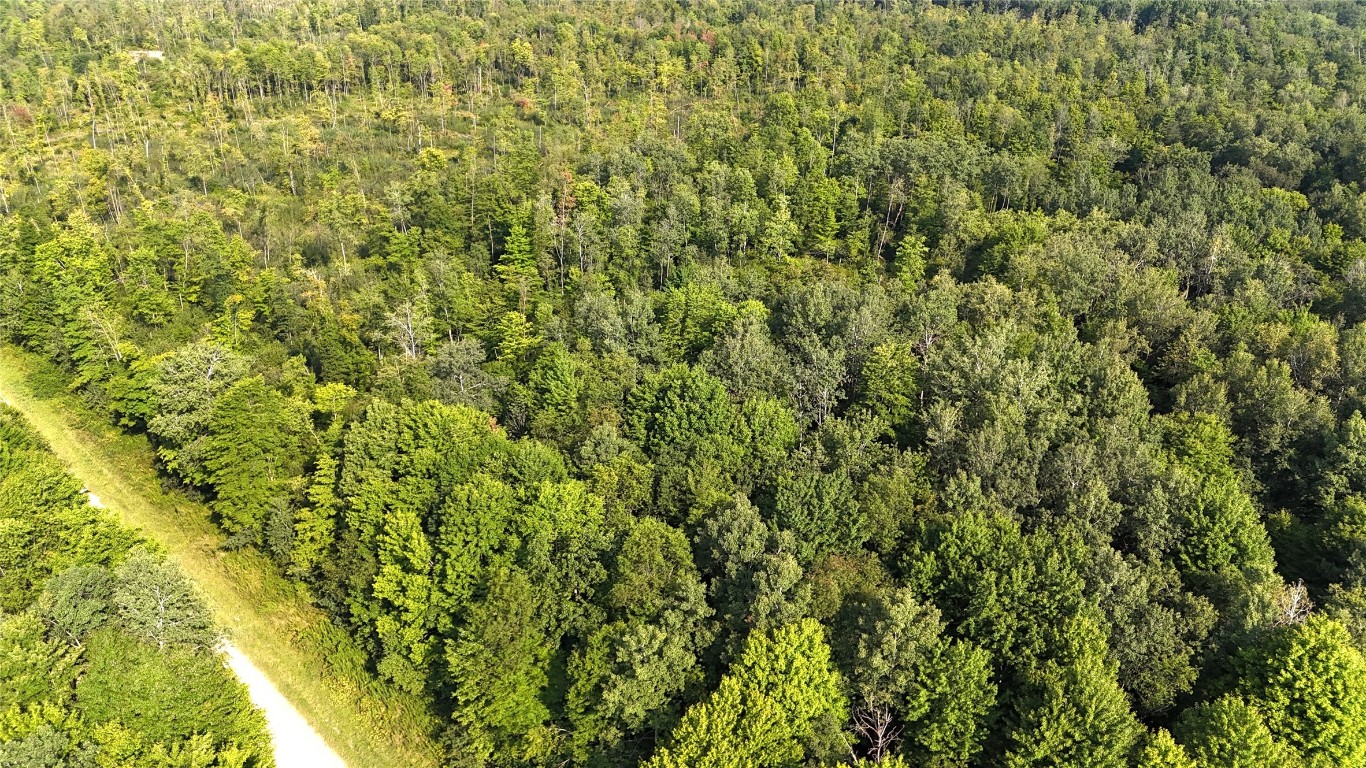 Lake & Laird Road, Atlantic, Pennsylvania image 21