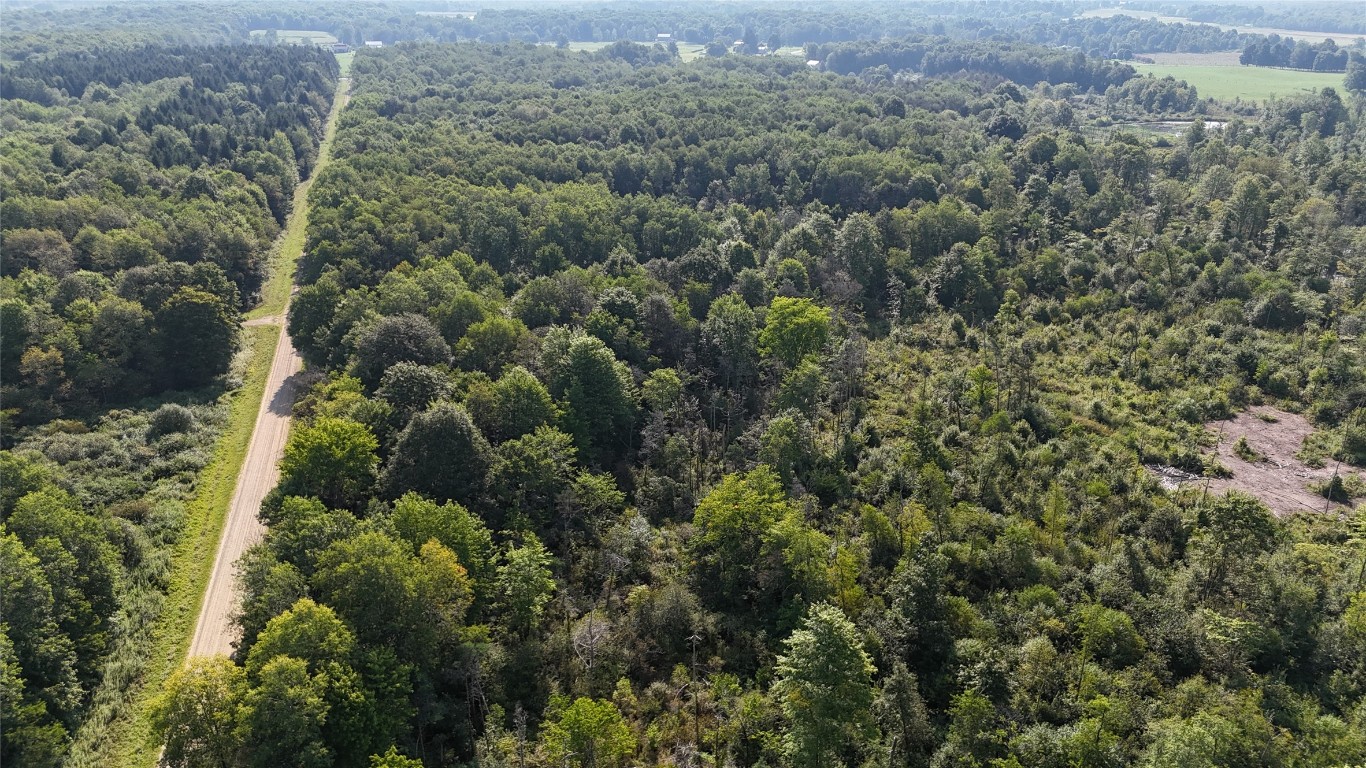 Lake & Laird Road, Atlantic, Pennsylvania image 30
