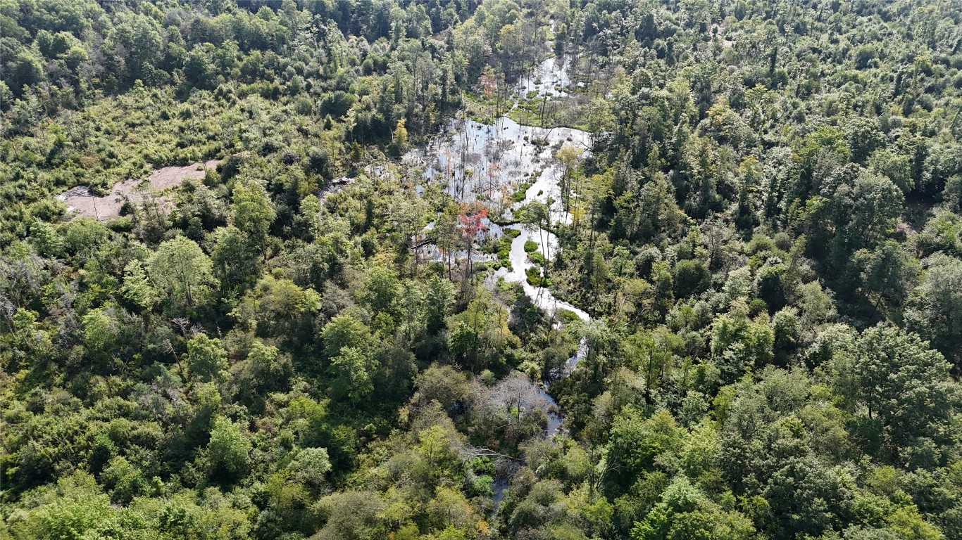 Lake & Laird Road, Atlantic, Pennsylvania image 39