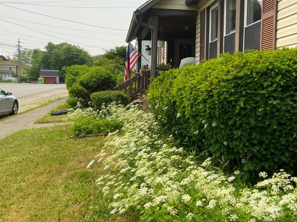 209 Mill Street, Linesville, Pennsylvania image 8