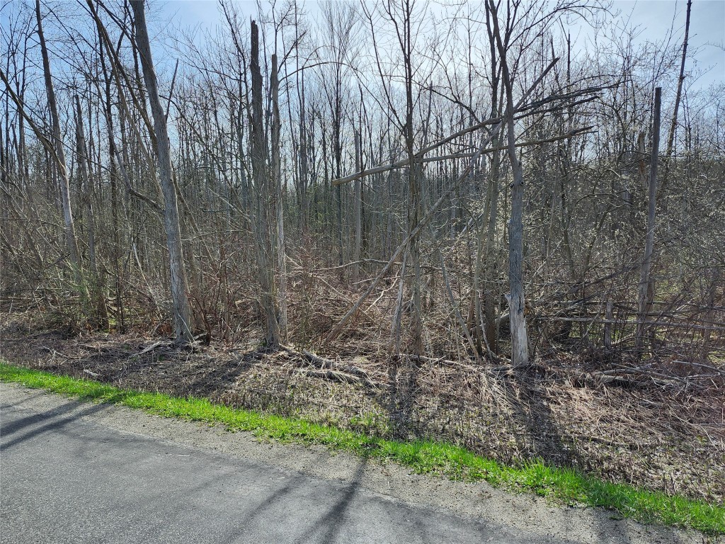 Phyllis Drive, Erie, Pennsylvania image 2