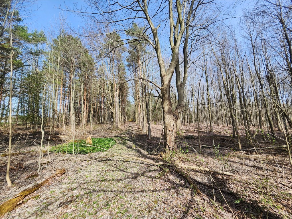 Phyllis Drive, Erie, Pennsylvania image 1