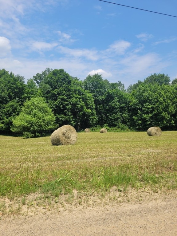 32882 Three Bridges Road, Centerville, Pennsylvania image 38