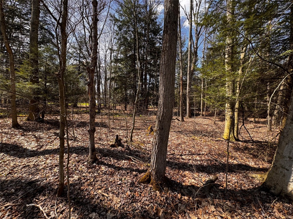 Lot 4 Lake & Danner Road, Union City, Pennsylvania image 4