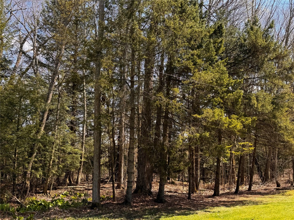 Lot 4 Lake & Danner Road, Union City, Pennsylvania image 9