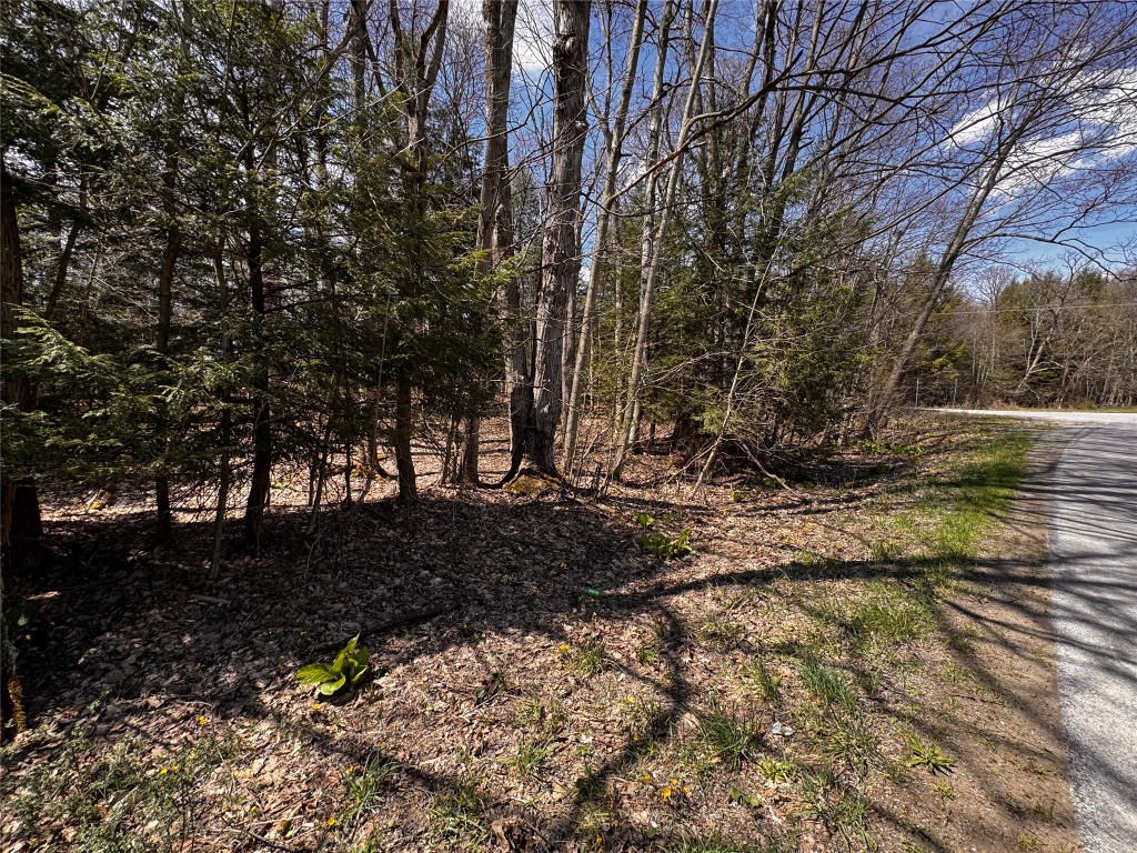 Lot 4 Lake & Danner Road, Union City, Pennsylvania image 6