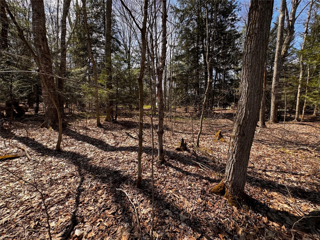 Lot 4 Lake & Danner Road, Union City, Pennsylvania image 3
