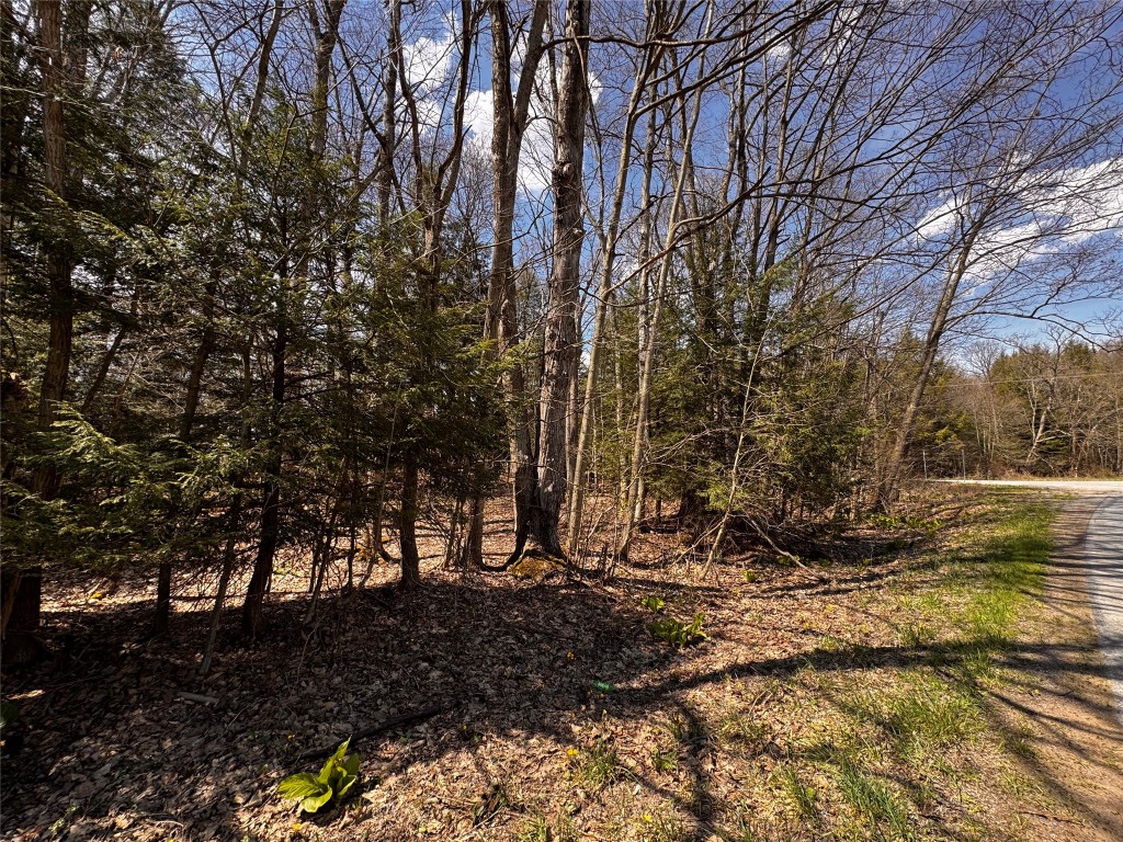 Lot 4 Lake & Danner Road, Union City, Pennsylvania image 5