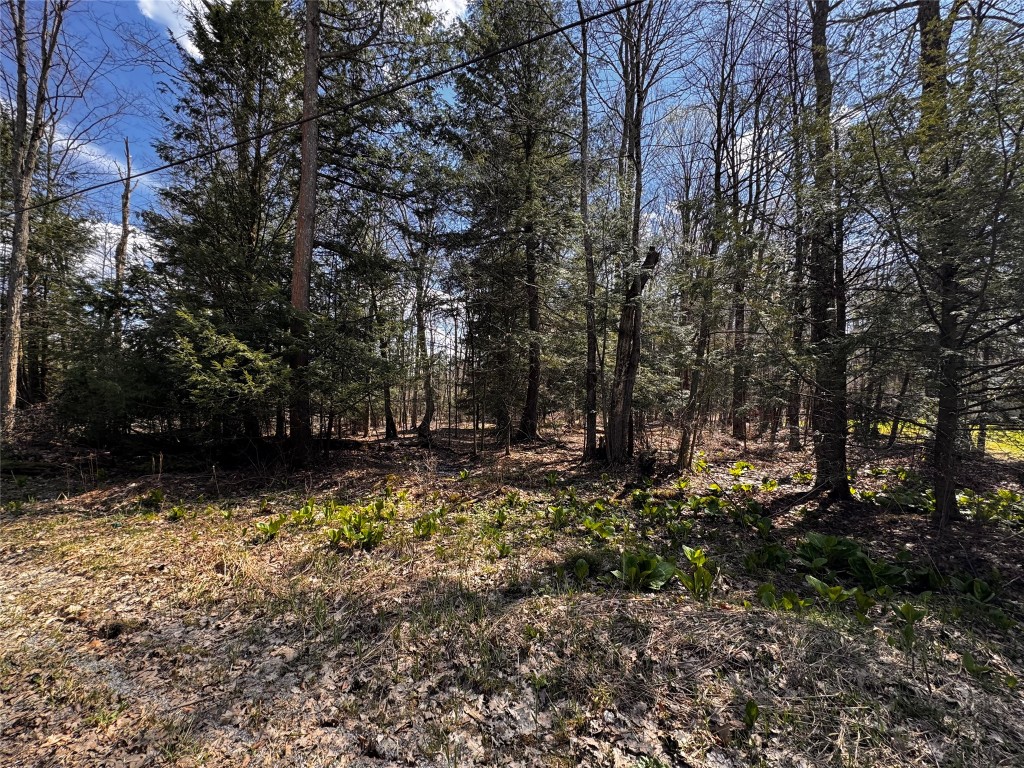 Lot 4 Lake & Danner Road, Union City, Pennsylvania image 10