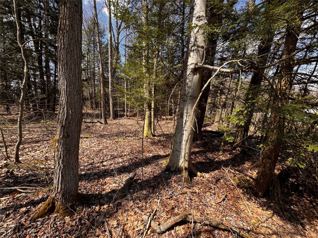 Lot 4 Lake & Danner Road, Union City, Pennsylvania image 1