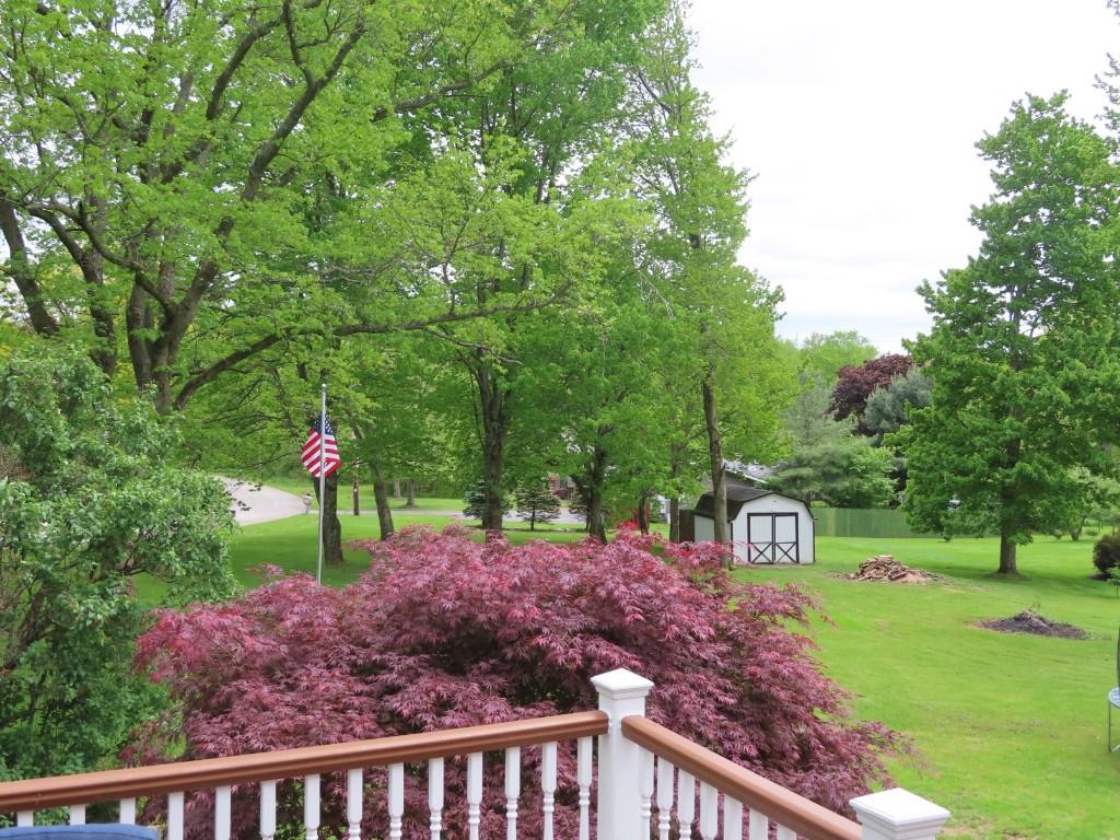 12930 Park Lane Drive, Meadville, Pennsylvania image 31