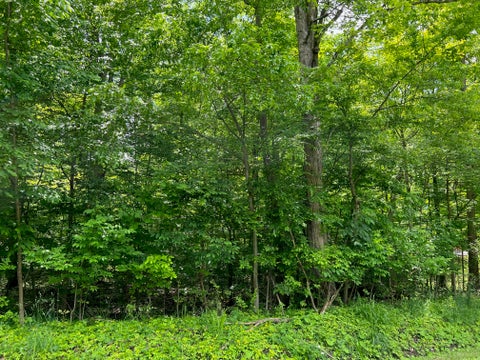 Vacant Land For Sale - 000 Lakeview Road<br/> Jamestown, PA 16134