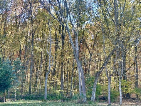 Photo for PETERSBURG Road