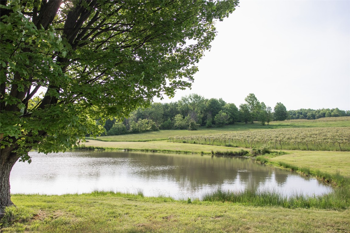 8565 & 8583 Belle Road, Harborcreek, Pennsylvania image 38
