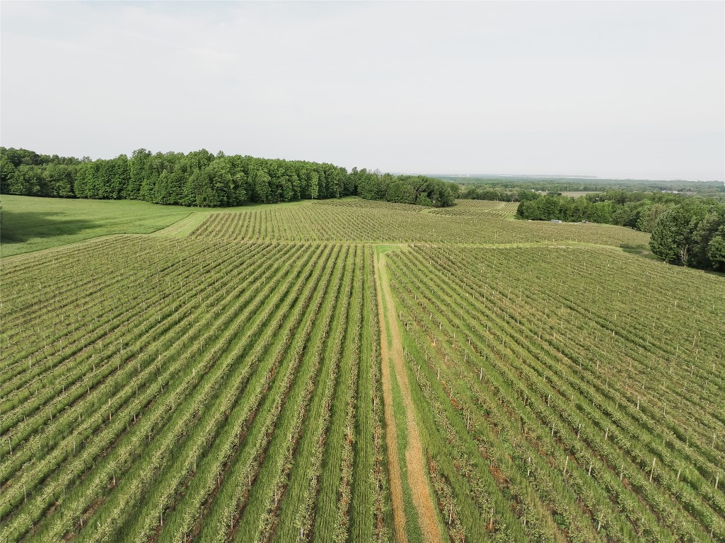 8565 & 8583 Belle Road, Harborcreek, Pennsylvania image 9