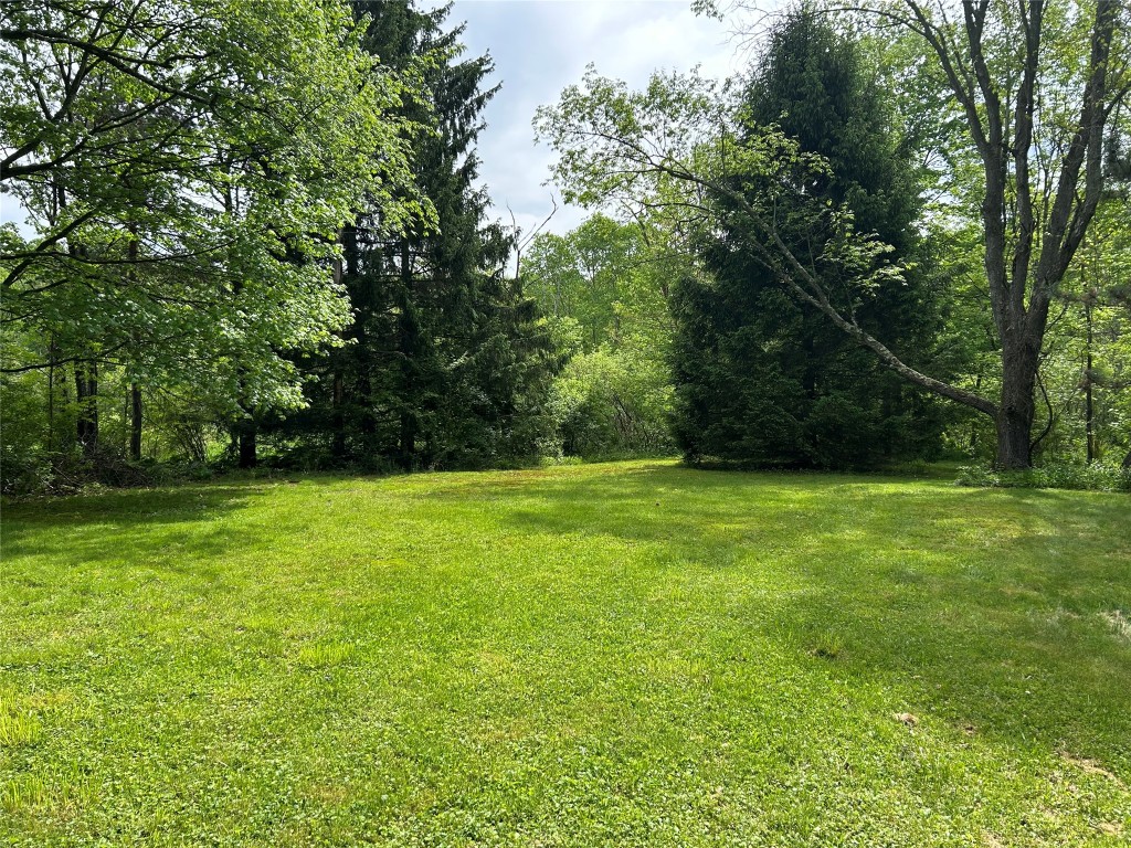 14552 Wallace Avenue, Linesville, Pennsylvania image 41
