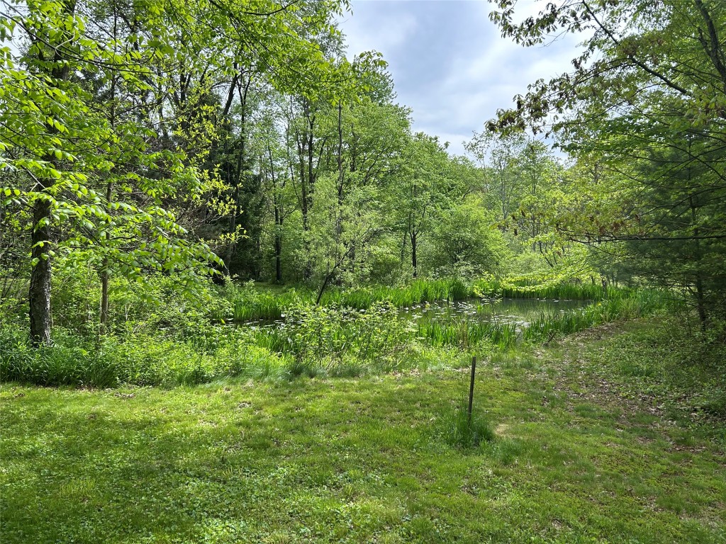 14552 Wallace Avenue, Linesville, Pennsylvania image 43