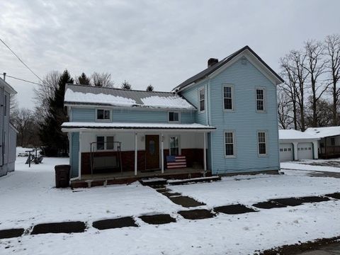 Homes For Sale - 119 Pearl Street<br/> Crawford County, Springboro, PA 16435