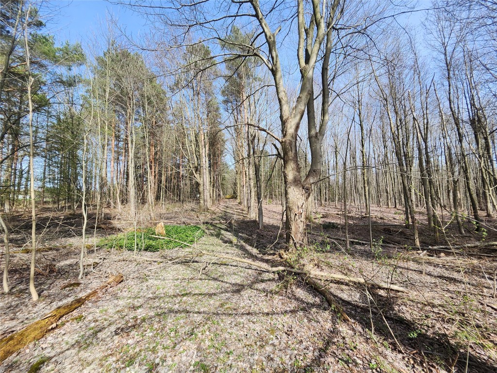 8991 Kirsch Road, Erie, Pennsylvania image 2