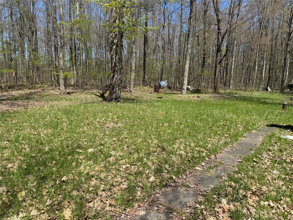 1568 Quick Road, Linesville, Pennsylvania image 3
