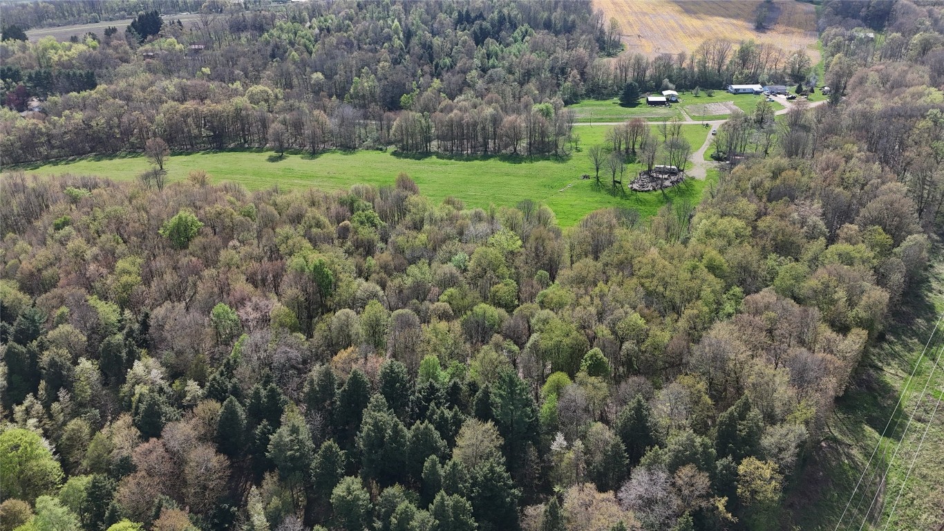 14265 Hare Road, Waterford, Pennsylvania image 18