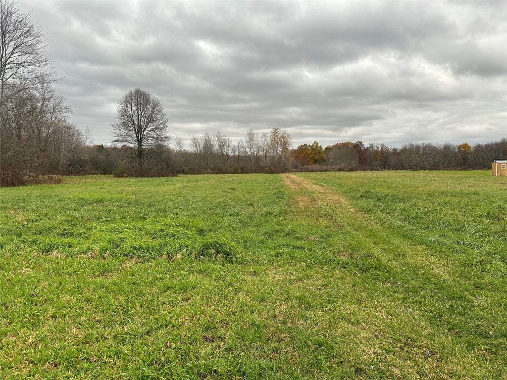 13695 Tracy Road, Albion, Pennsylvania image 9