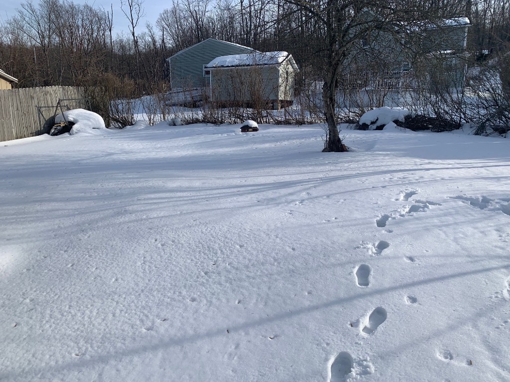58 Brook Street, Corry, Pennsylvania image 5