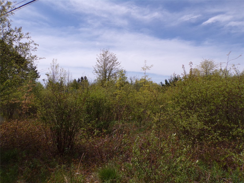 Pagan Road, Erie, Pennsylvania image 3