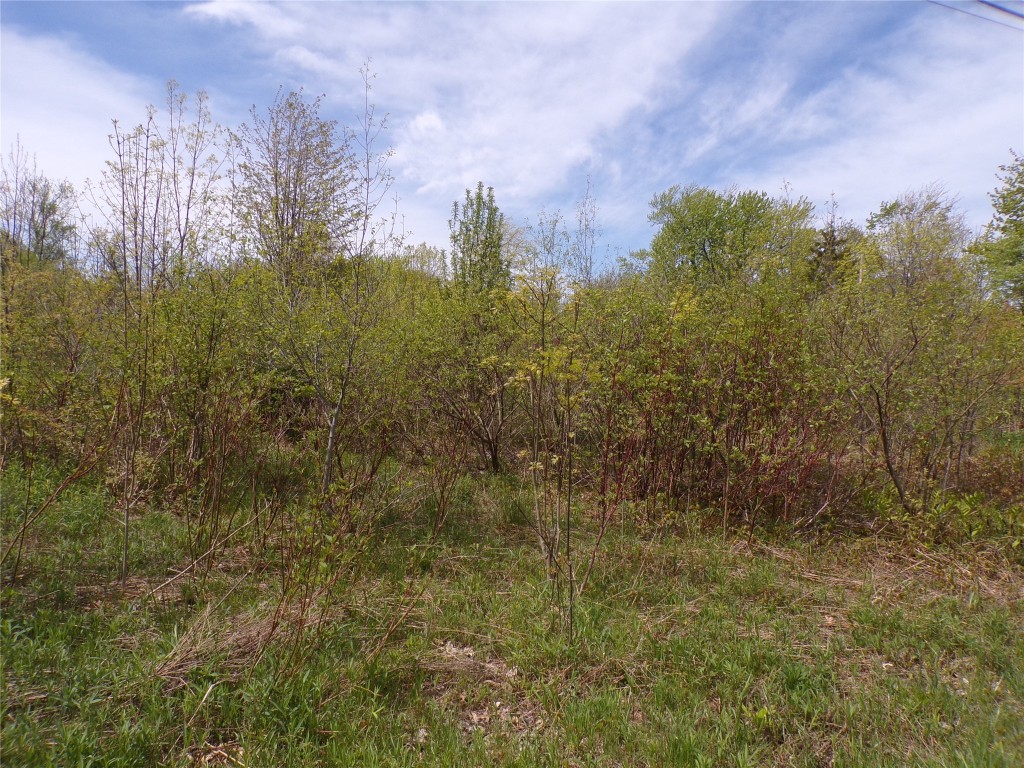 Pagan Road, Erie, Pennsylvania image 6