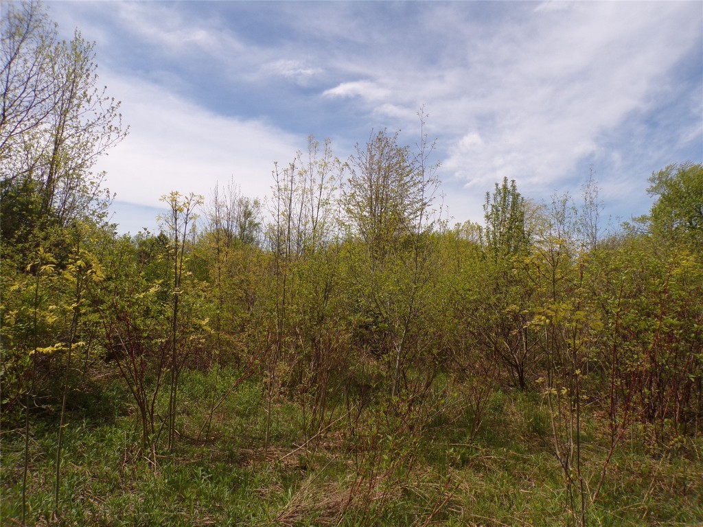 Pagan Road, Erie, Pennsylvania image 5