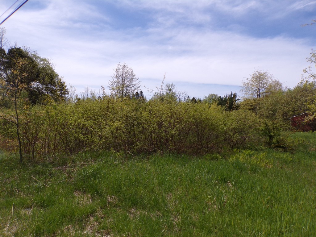 Pagan Road, Erie, Pennsylvania image 1