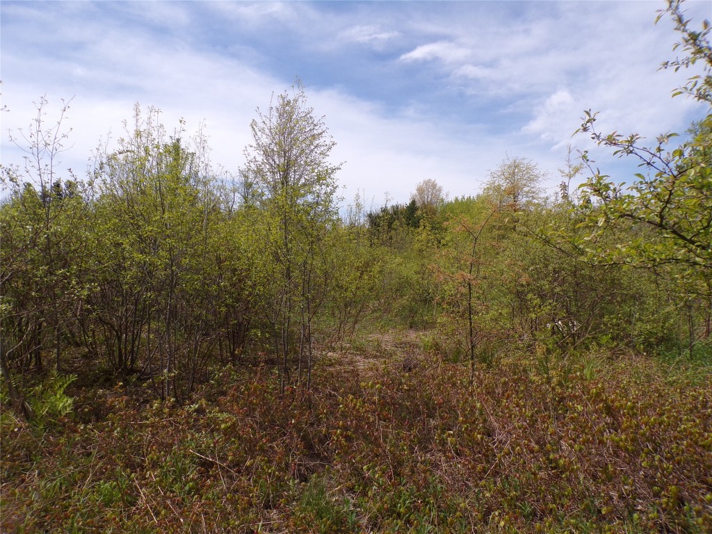 Pagan Road, Erie, Pennsylvania image 4