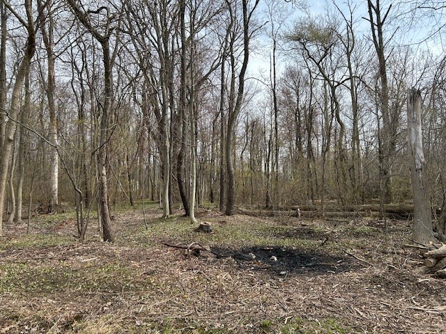 Crosley Road, Erie, Pennsylvania image 2