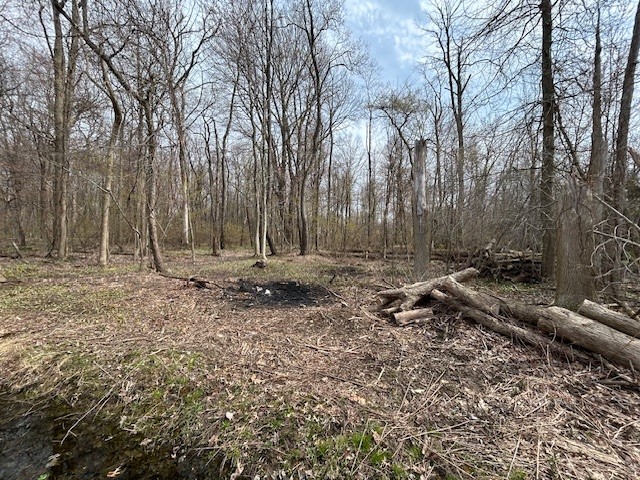 Crosley Road, Erie, Pennsylvania image 3