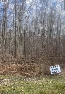 Conaway Drive, Linesville, Pennsylvania image 1