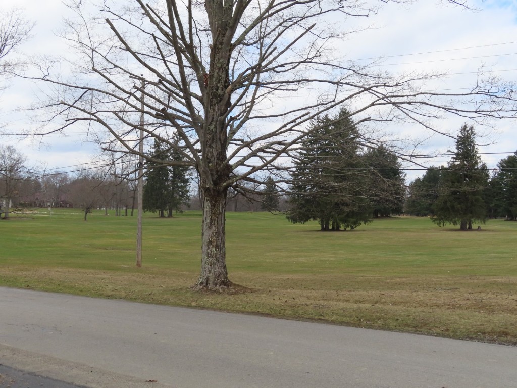 12003 Oakland Beach Road, Conneaut Lake, Pennsylvania image 27