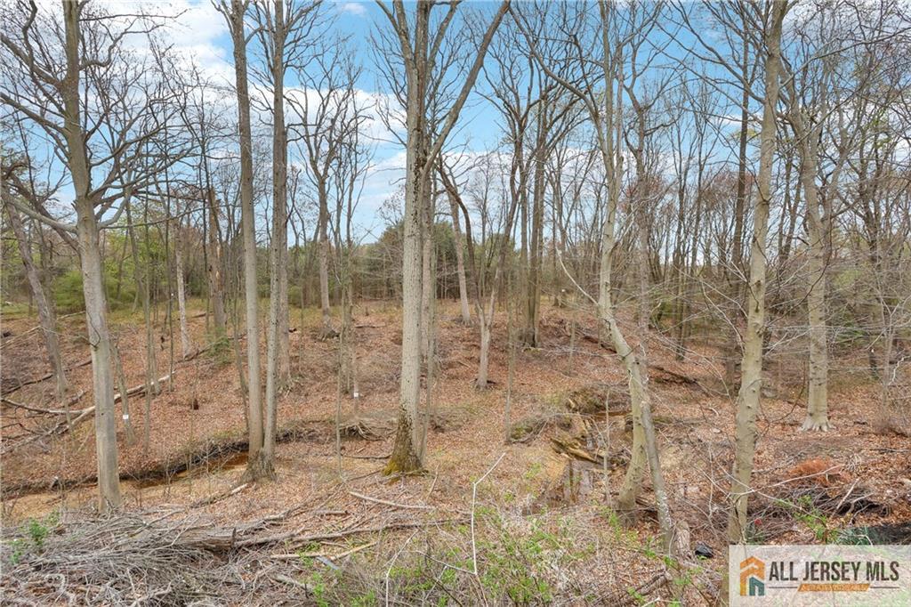 15 Pemberton Drive, Old Bridge, New Jersey image 43