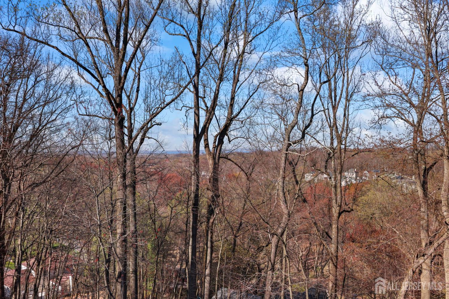 Morganville, New Jersey, 07751, United States, 5 Bedrooms Bedrooms, ,4 BathroomsBathrooms,Residential,Active,2035600