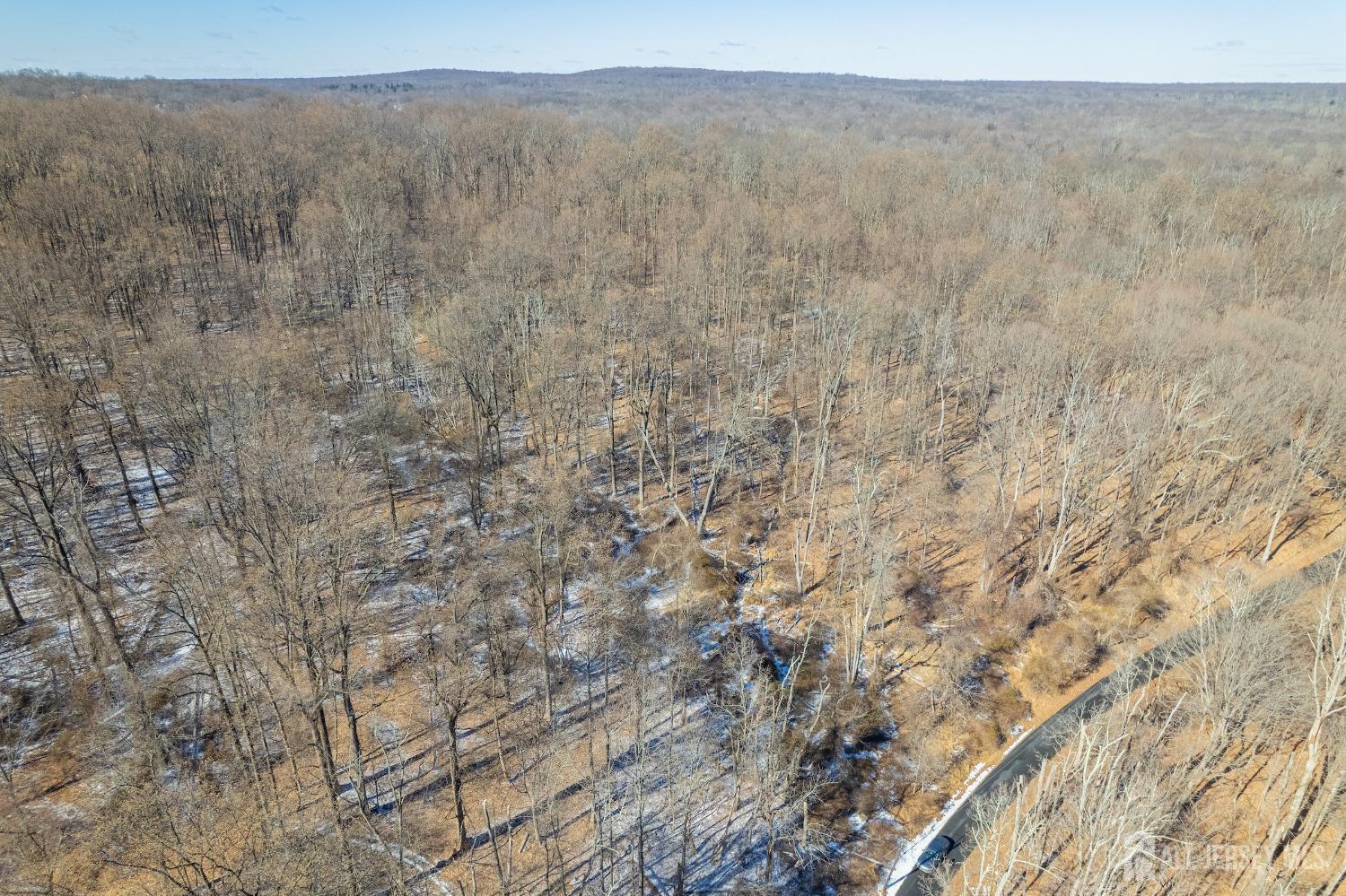 34 Servis Road, Montgomery, New Jersey image 18