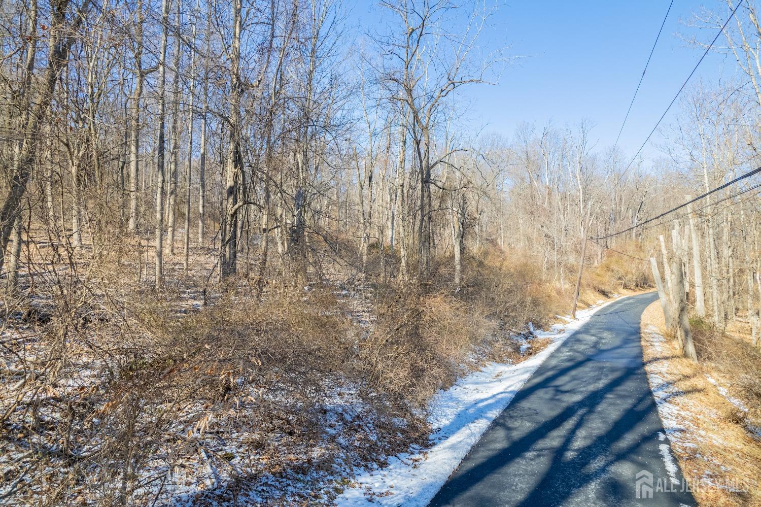 34 Servis Road, Montgomery, New Jersey image 20