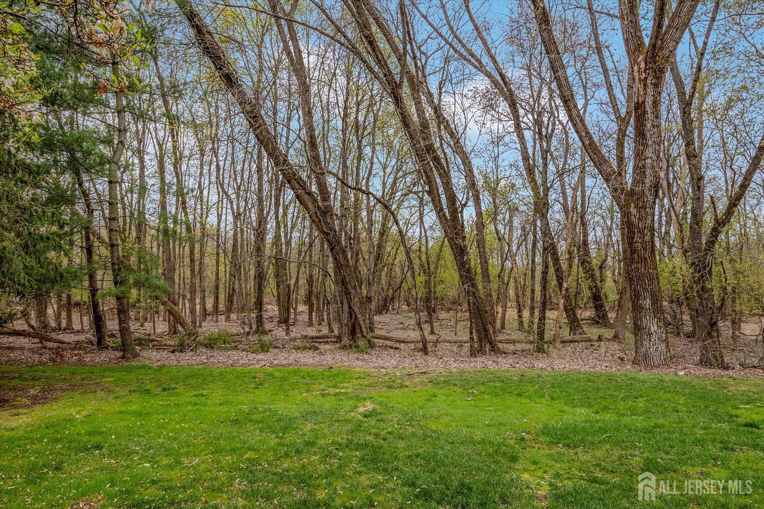 441 Sayre Drive, Plainsboro, New Jersey image 27