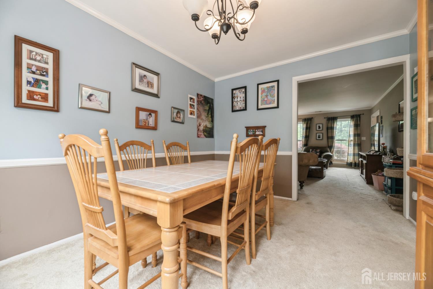 3 Pond View Drive, Plainsboro, New Jersey image 10