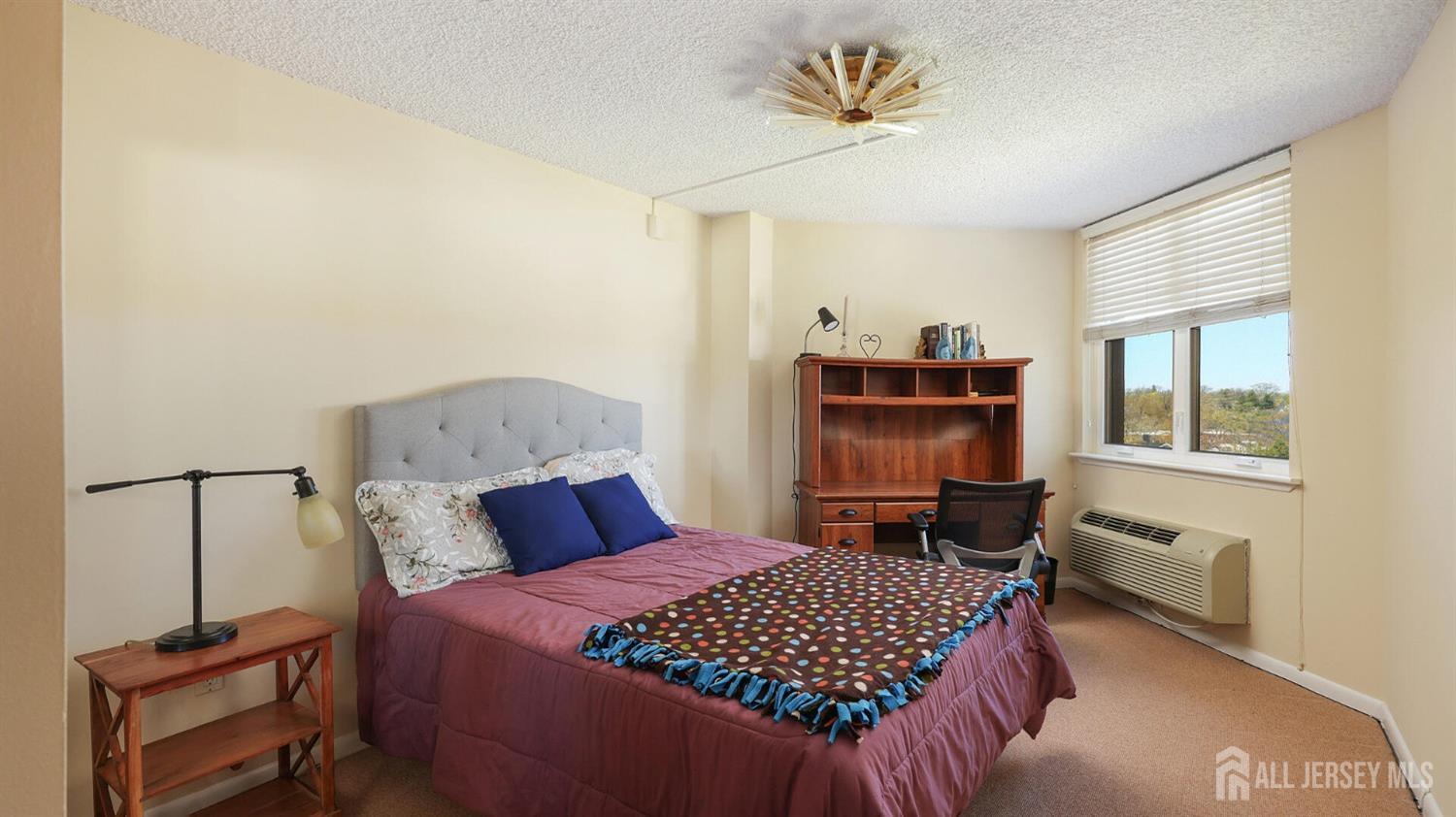 30 So. Adelaide Avenue #7H, Highland Park, New Jersey image 19